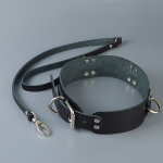 Ошейник Sitabella Новичок широкий три полукольца с поводком чёрный