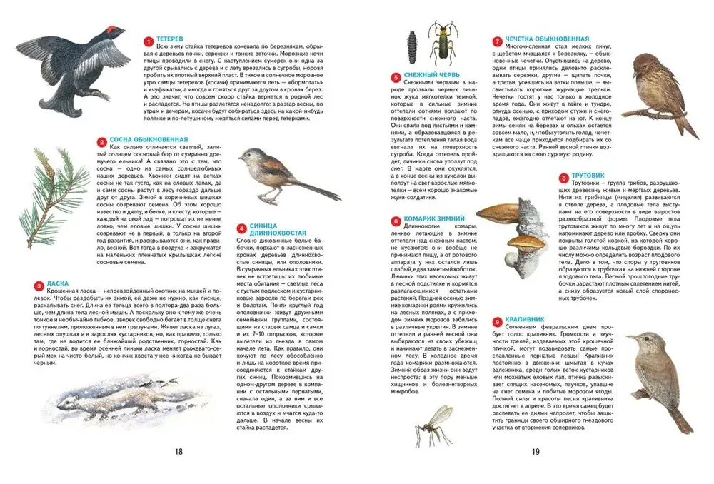 Времена года. Иллюстрированная энциклопедия