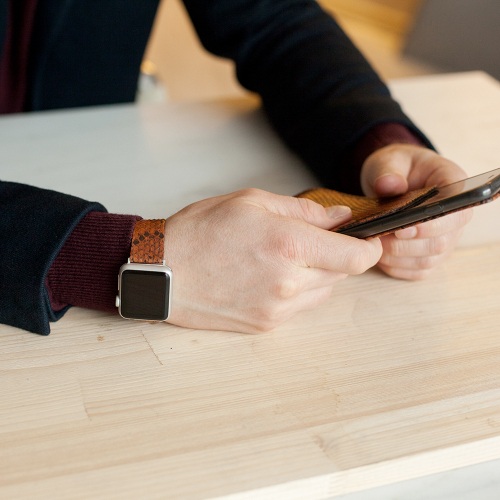 Ремешок для Apple Watch 40/41/42 mm из кожи питона, цвета коньяк