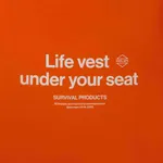 Футболка AFK by Scrrreen Life vest under your seat Оранжевая