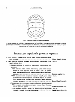 Пресмыкающиеся и земноводные Российской империи | Никольский Александр Михайлович