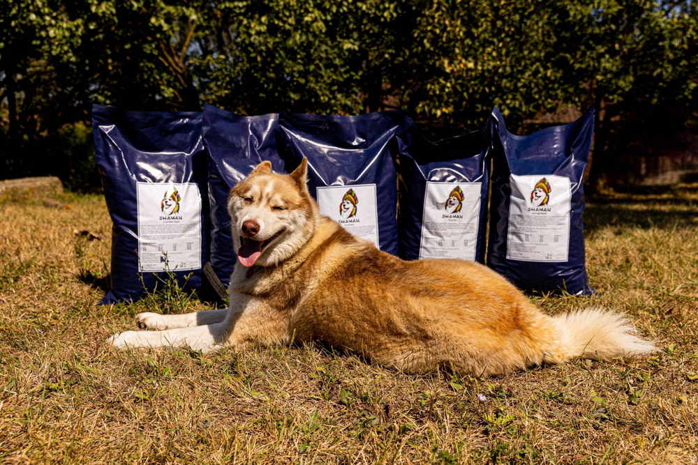 Сухой корм для собак "Shaman" Индейка 10 кг; крупные гранулы; класс Холистик