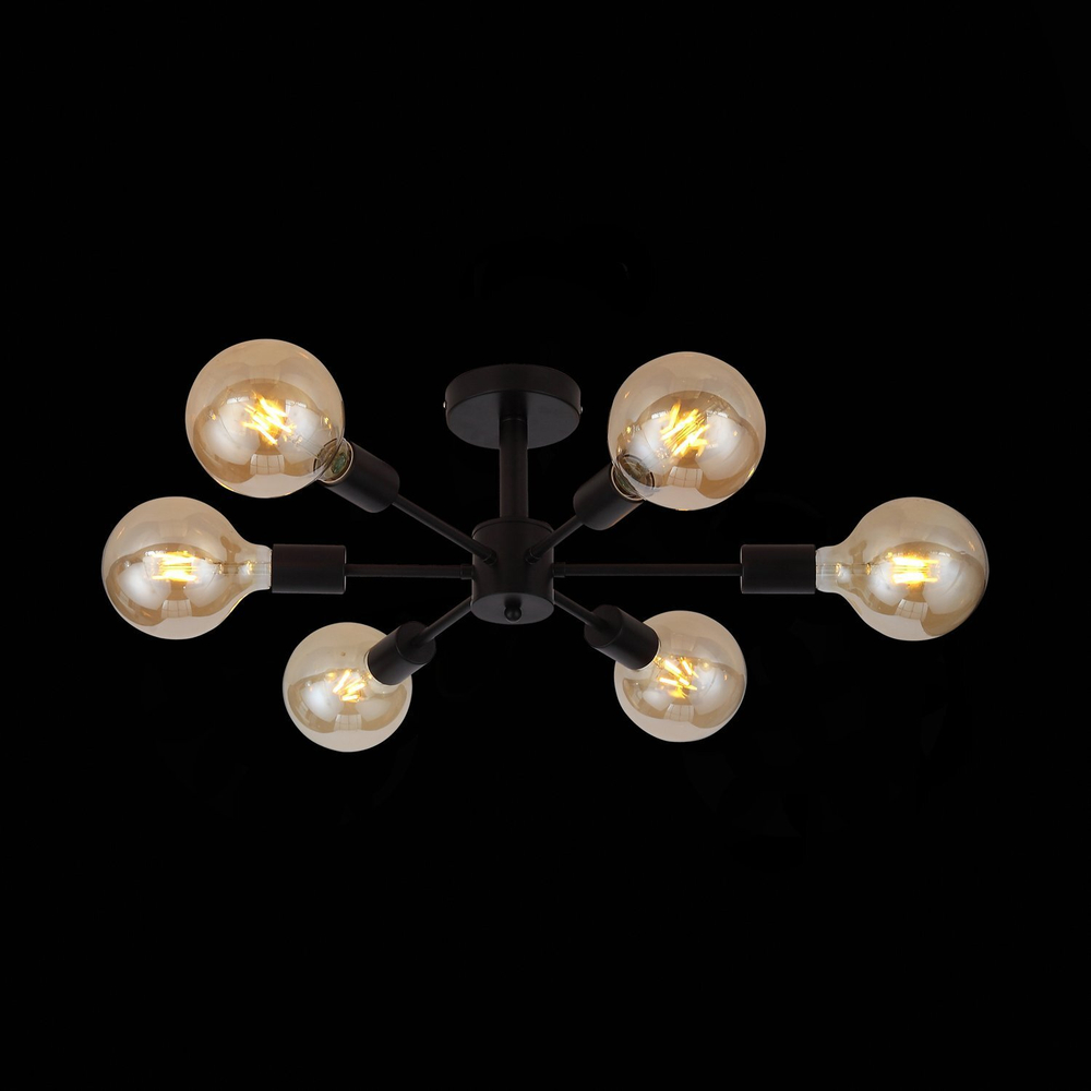 Светильник потолочный Evoluce Ano SL419.402.06