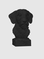 Жесткошерстная Такса