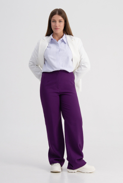 Брюки женские 3667зпа, Баклажан #513Бак023667зпа