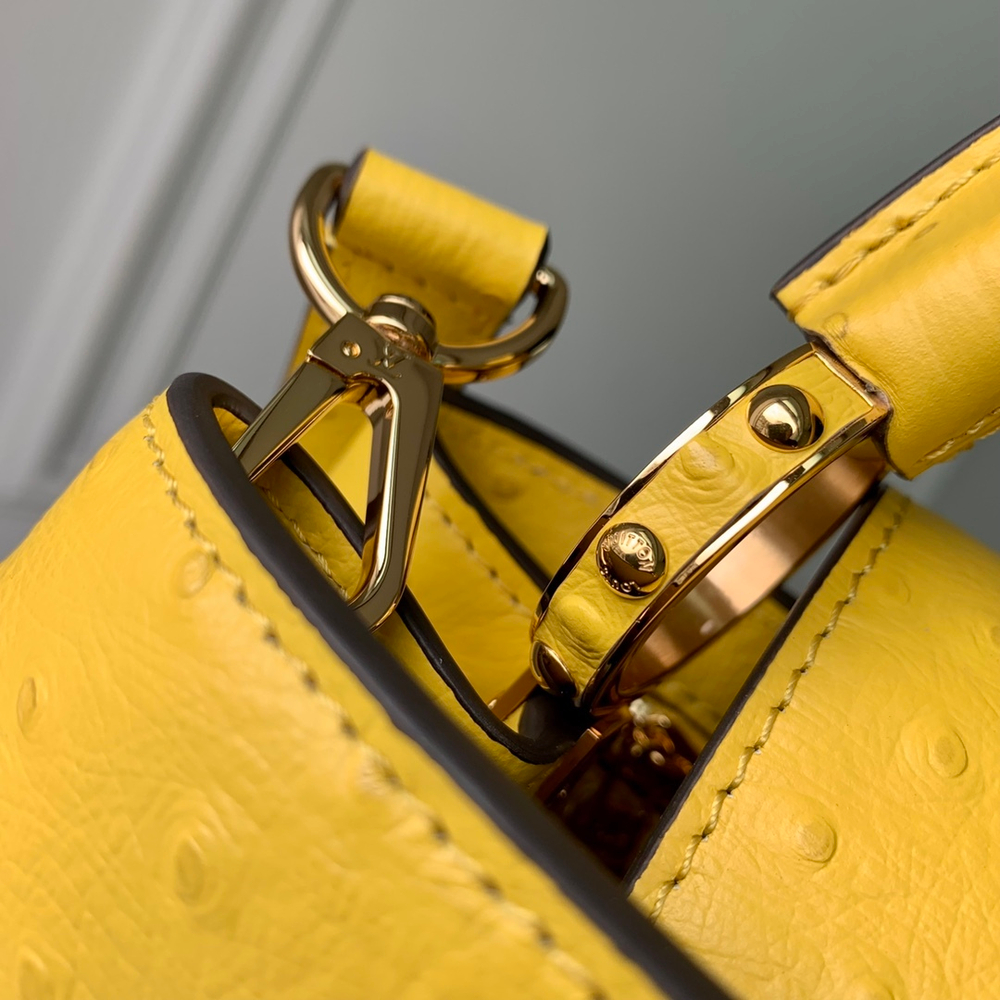 Louis Vuitton Capucines Mini
