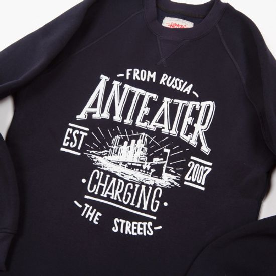 Толстовка Anteater crewneck AURORA