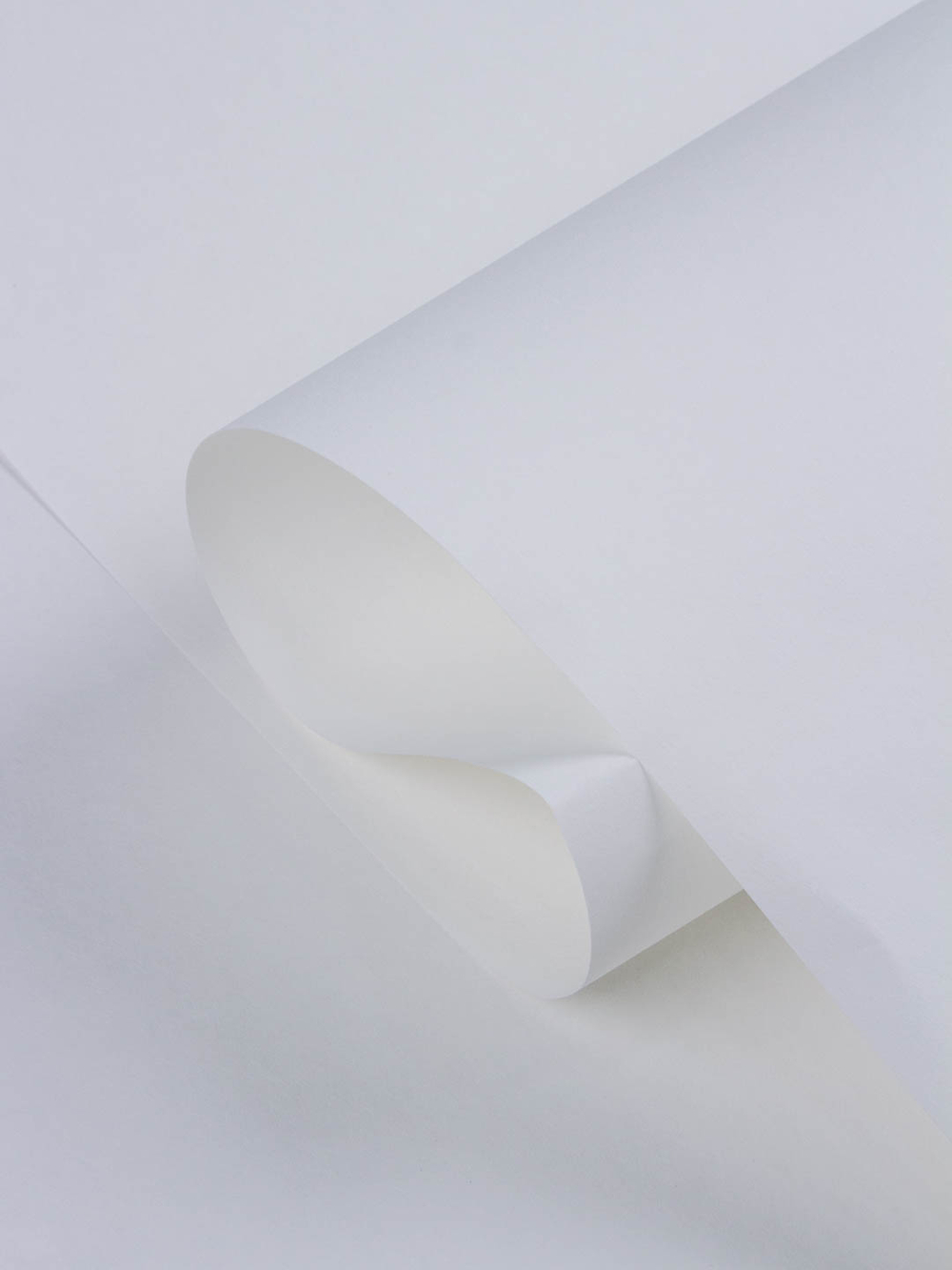 Обои Rasch Wallton 177602