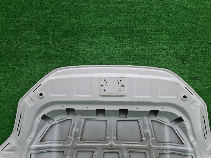 Капот Zeekr 001 (2021-н.в.)