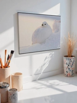 Картина на стену 40 X 50 Белый голубь