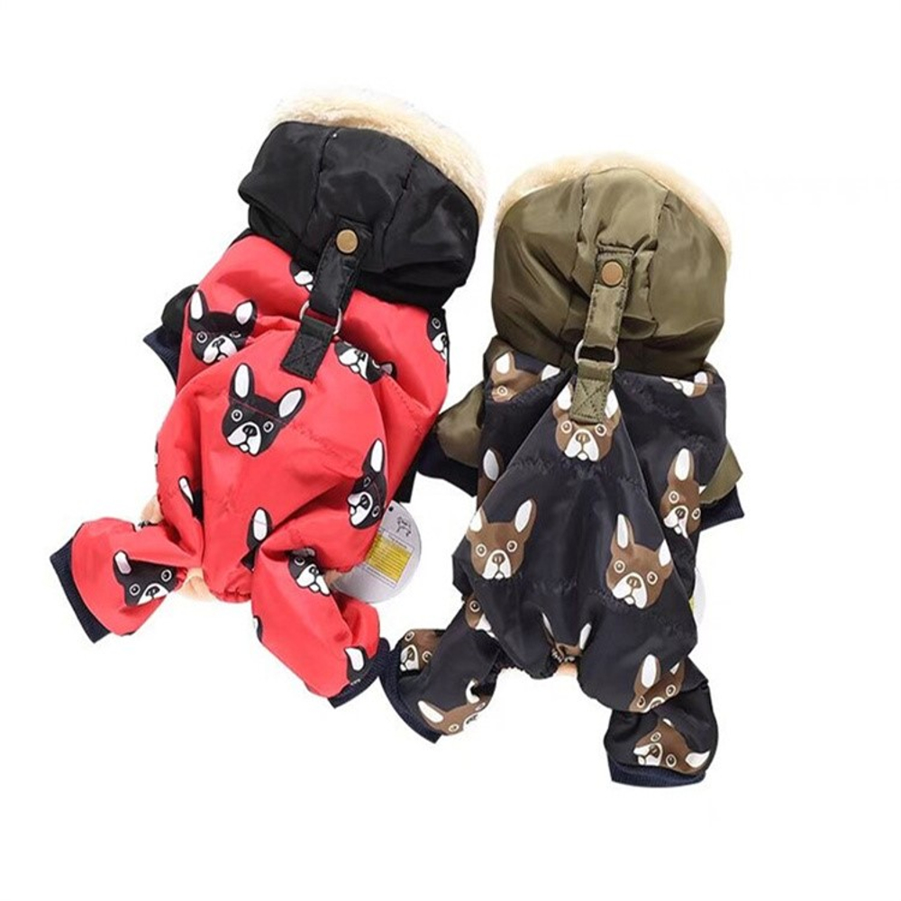 Бульдоги от Аллы