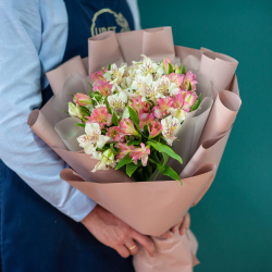 Букет из 15 альстромерий в упаковке