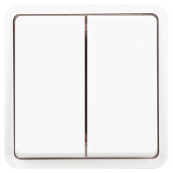 Выключатель ЭРА Эксперт 11-1524-01 двойной IP55 10АХ-250В СУ белый