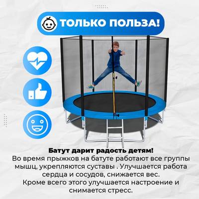 Батут для дачи с сеткой и лестницей, диаметр 10 футов B-15719