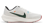 Кроссовки Nike Air Zoom Pegasus 40 (Женская размерная сетка)