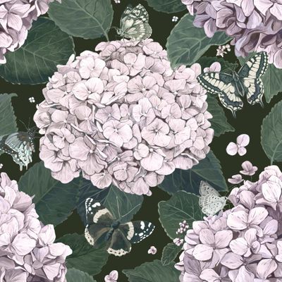 Гортензия и бабочки