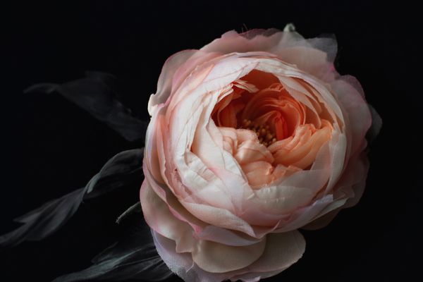 Сколько на самом деле ручной работы в одном цветке Сколько на самом деле ручной работы в одном цветке