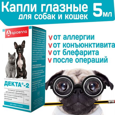 Капли глазные от аллергии, противовоспалительные бактерицидные для собак и кошек Apicenna Декта-2 / Гентамицин, Дексаметазон, 5мл