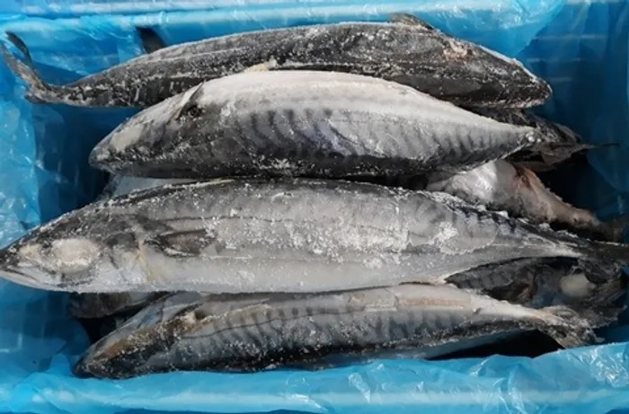 Скумбрия 400-600  (1/25*12,5) 01-02/2025 FО 174