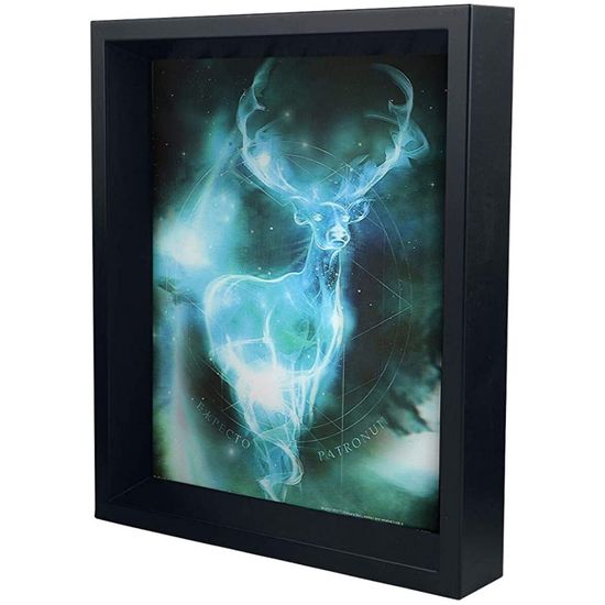 3D картина Harry Potter (Expecto Patronum) EPPL71238