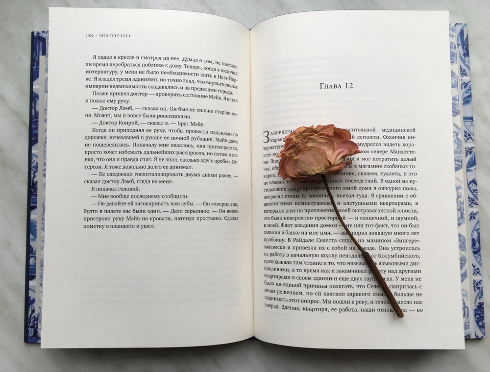 Голландский дом