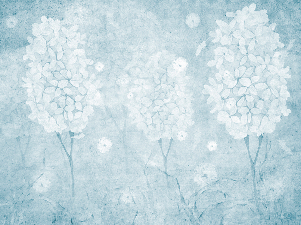 Коллекция SERENE