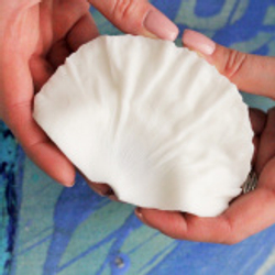 Вайнер крупного лепестка Мака ClayCraft by DECO™