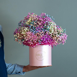 Цветная гипсофила в шляпной коробке размер М