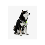 Анатомическая шлейка staya Wild, с пластиковыми фастексами