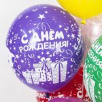 Шар (12"/30 см) С Днем Рождения! (милые котята), Ассорти, пастель, 5 ст 25 шт.