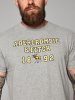 Футболка Abercrombie & Fitch ABF39