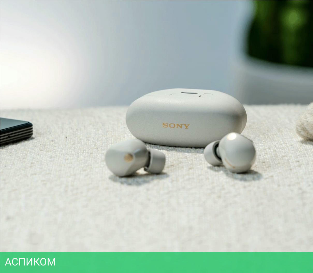 Наушники Sony WF-1000XM5 серебристый