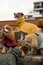 Дождевик "Пони-парасоли"