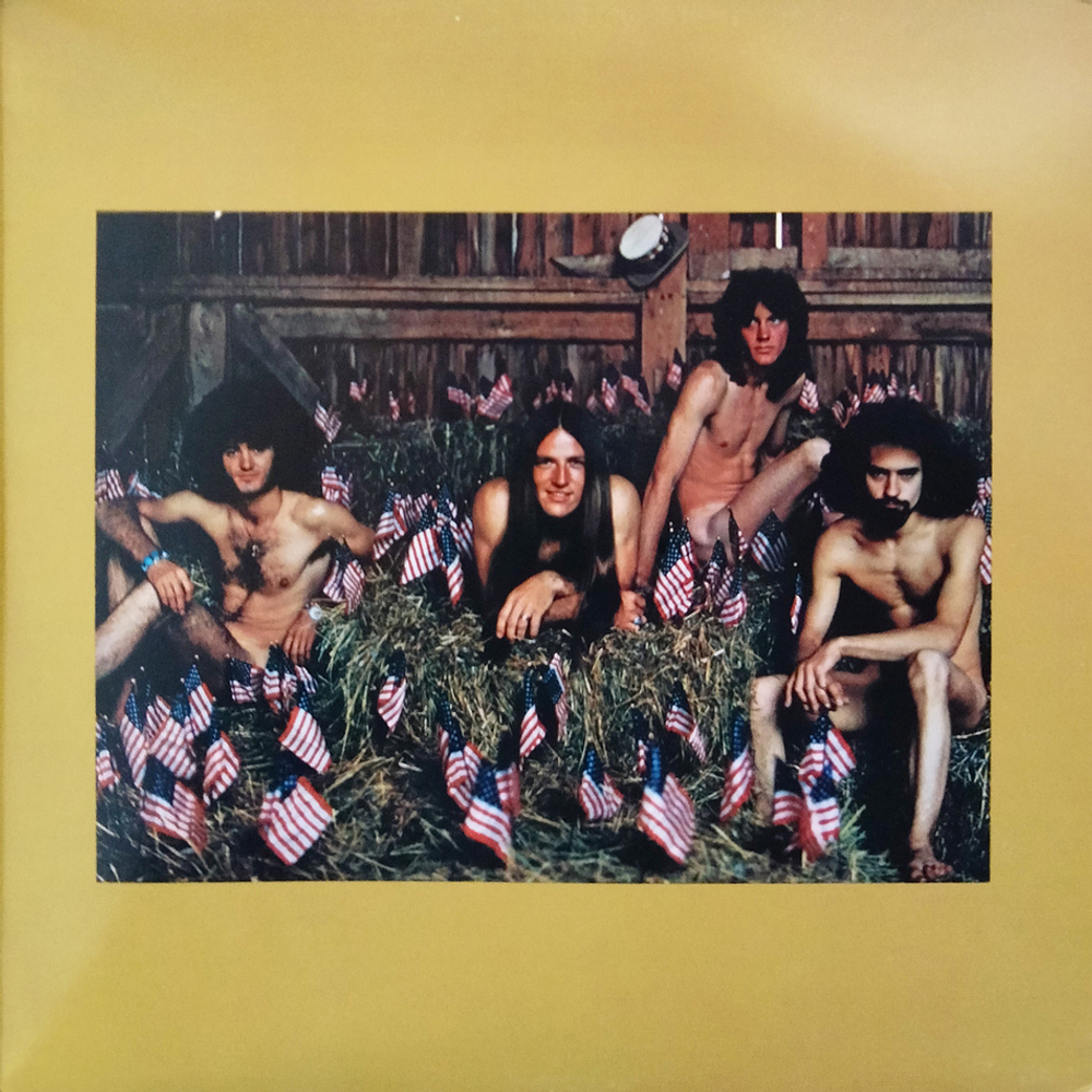 Grand Funk / We're An American Band (LP)