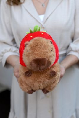 сколько стоит капибара