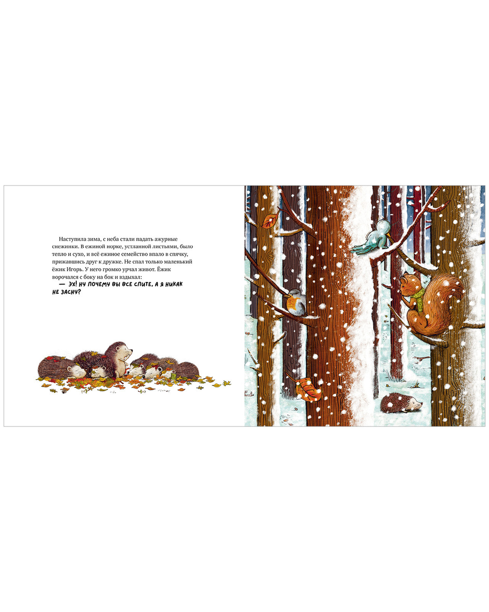 Книжки-картинки. Ежик Игорь недоволен