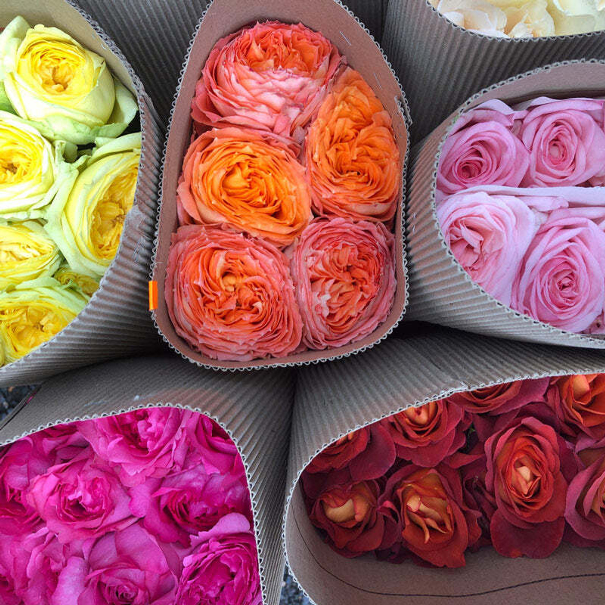 Яркий микс — игра ароматов и цвета