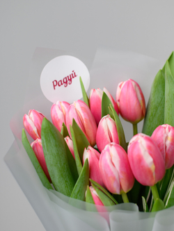 Тюльпаны микс
