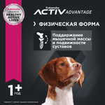Сухой корм Eukanuba Adult Medium Breed 1+ years для взрослых собак средних пород от года и старше с курицей 3 кг