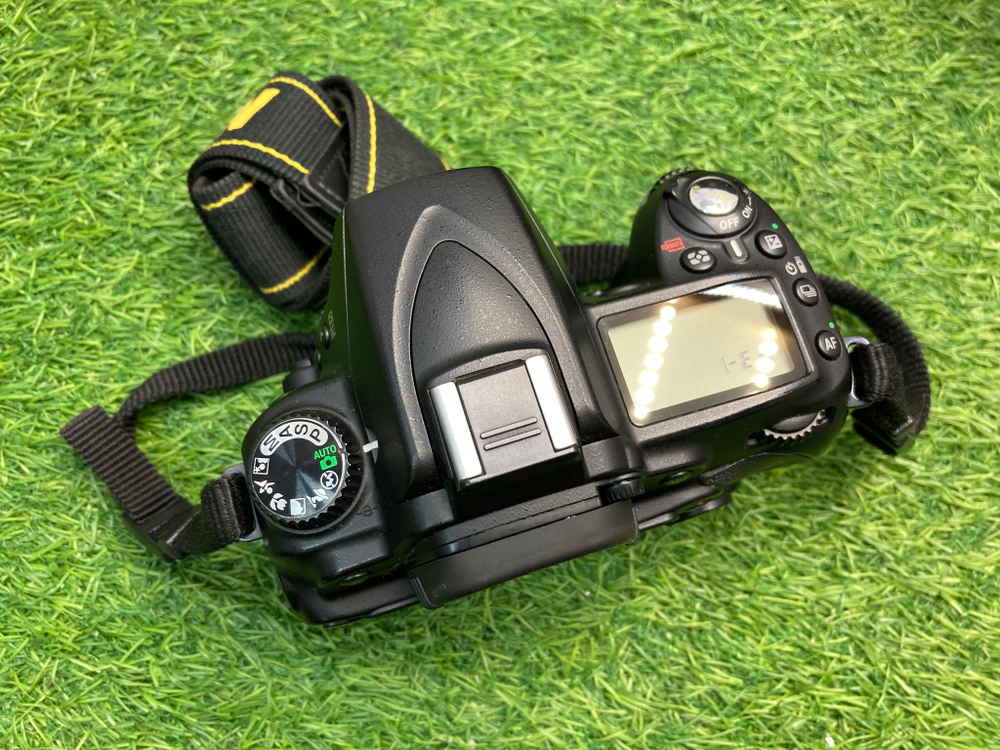 Nikon D90 17.000 кадров