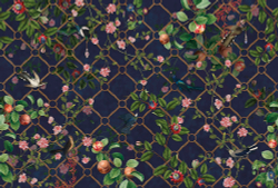 Коллекция Aurora