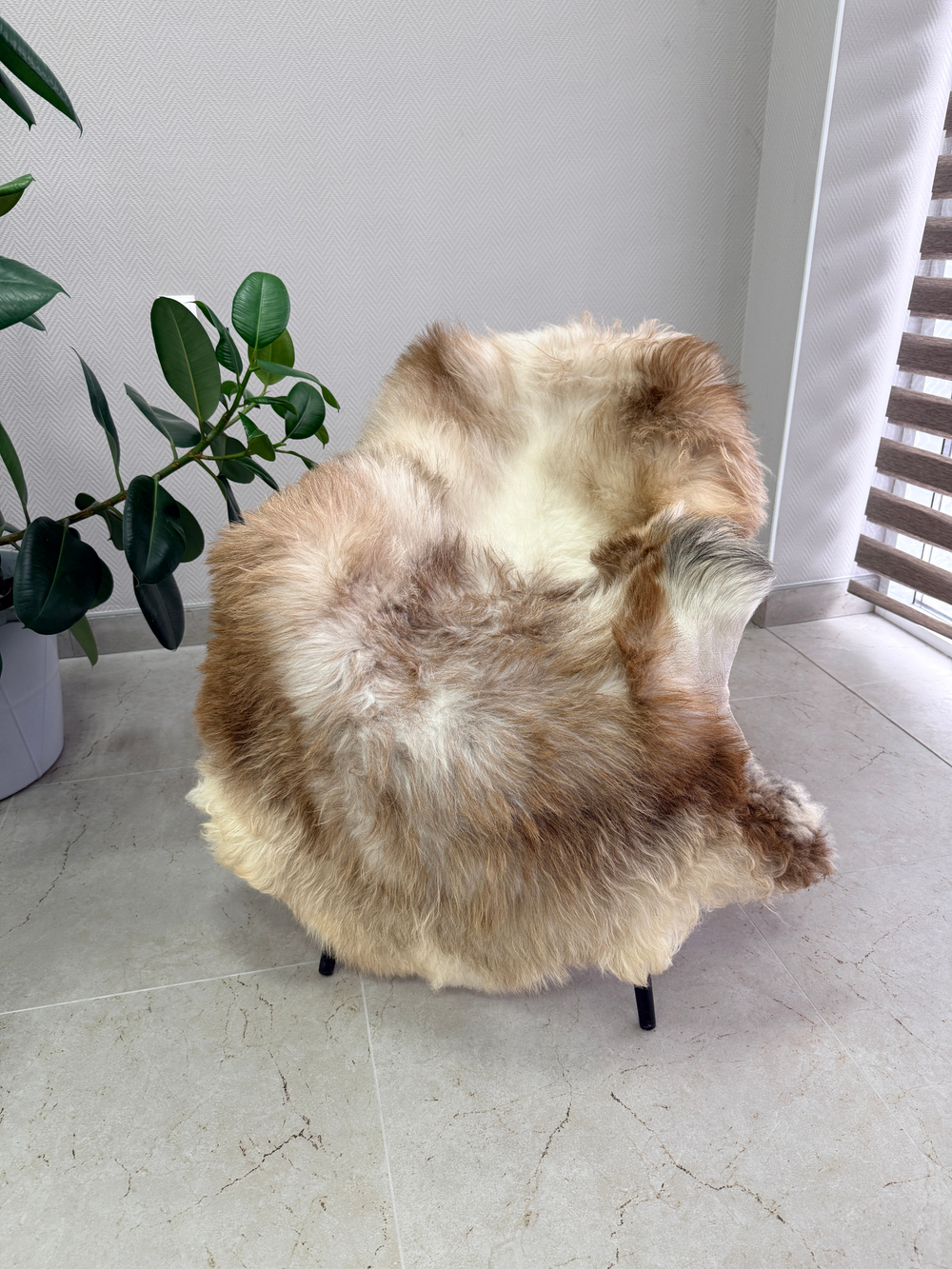 Шкура коврик меховой прикроватный овчина, 120х65 см.