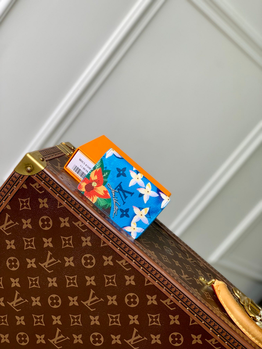 Louis Vuitton Pocket Organizer