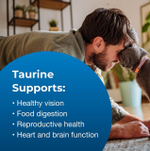 Taurine Tablets - Таурин для кошек, жевательные таблетки, уп. 100 шт