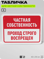 Табличка для частной территории "Частная собственность, проход строго воспрещен", на дом, для участка, организаций, предупреждающая, 40х30 см, Silver Plane x Айдентика Технолоджи