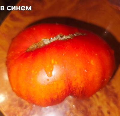 В СИНЕМ (СИНИЙ)