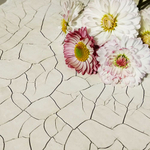 Краска с эффектом трещин «Белая» матовая