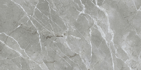 60x120 SilkMarble Бреча Серый Матовый R9