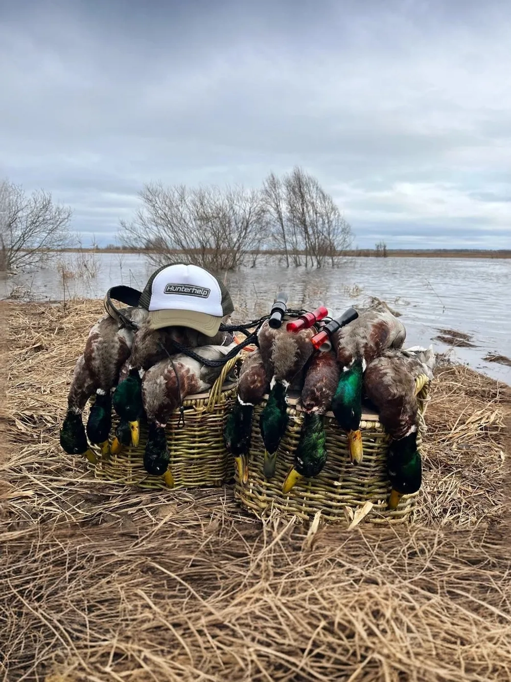 Манок на утку Утиный Мастер H042 конус