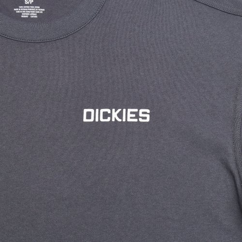 Лонгслив Dickies Payson 2-in-1 Let T-shirt артикул:DK0A88JFBLK1 - купить в магазине Дайс